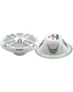 2-WAY MARINE SPEAKERS (6" X 9"; 300 WATTS)